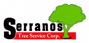 Serranos Tree Service