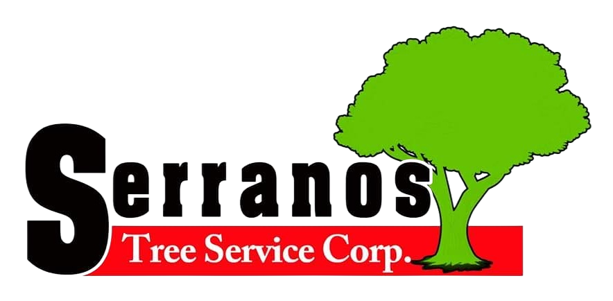 Serranos Tree Service